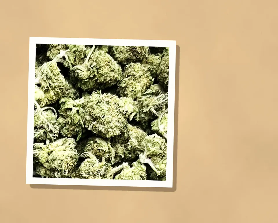 Blue Dream THCA flower on kraft paper, light-dep
