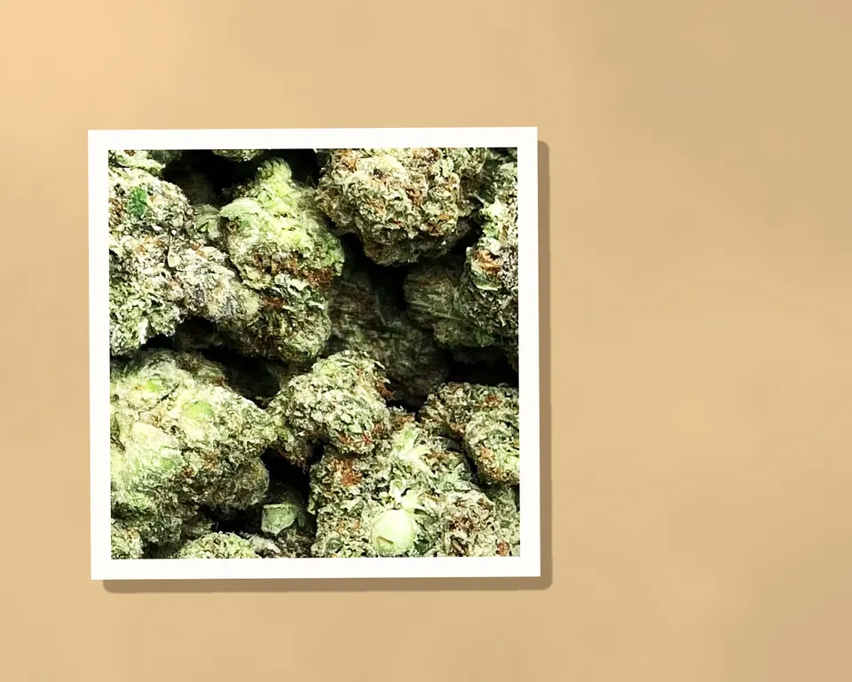 White Russian THCA flower on kraft paper, light-dep